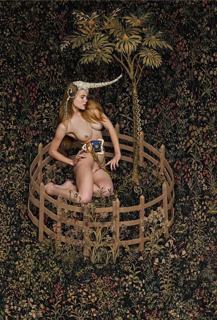 unicorn_nsfw_05b_800